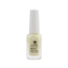 Colorful Nails Care 07 BRILLO REFORZADO CON DESTELLOS 14 ml