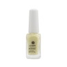 Colorful Nails Care 06 FORTALECIMIENTO UV 14 ml