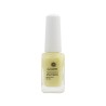 Colorful Nails Care 04 ANTI MANCHAS PARA UÑAS 14 ml