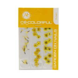 COLORFUL NATURALEZA SET de 3 MIX COLOR: SUN LIGHT