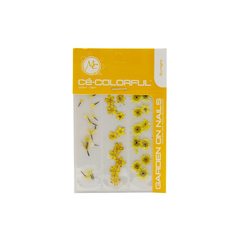 COLORFUL NATURALEZA SET de 3 MIX COLOR: SUN LIGHT