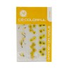 COLORFUL NATURALEZA SET de 3 MIX COLOR: SUN LIGHT