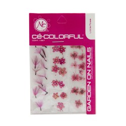 COLORFUL NATURALEZA SET de 3 MIX COLOR: LITTLE ROSE