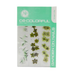 COLORFUL NATURALEZA SET de 3 MIX COLOR: GREEN LIFE