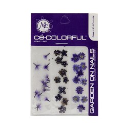 COLORFUL NATURALEZA SET de 3 MIX COLOR: BEAUTIFUL PURPLE